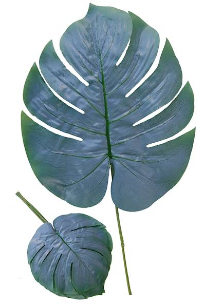 Liść monstery, W0546S12