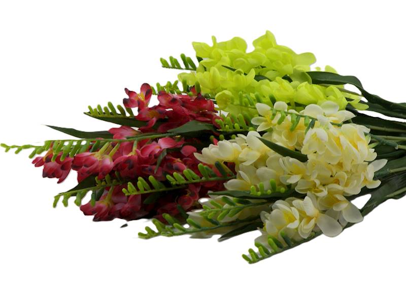 Bukiet frezji x 9, W005