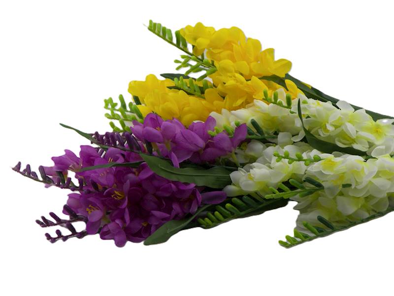 Bukiet frezji x 9, W005