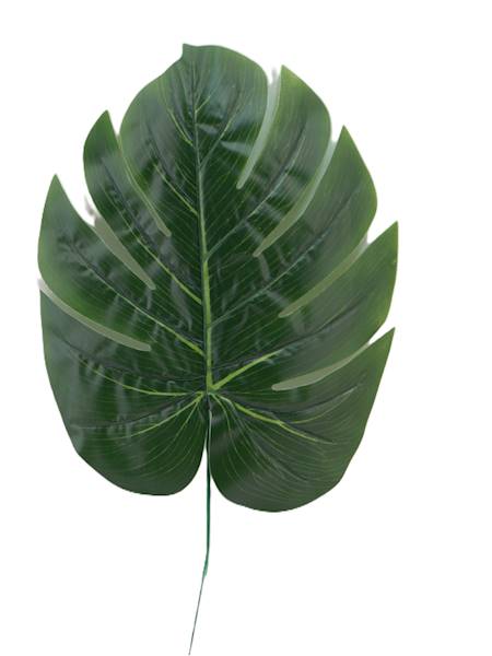 Liść monstery, W0546S2D