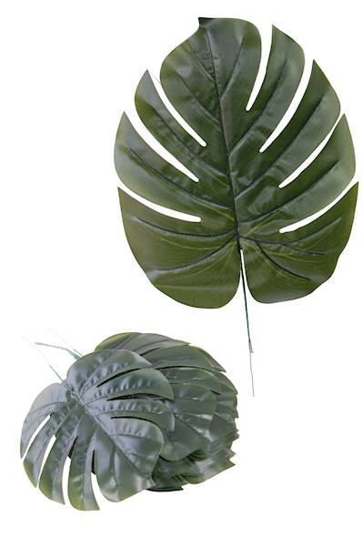 Liść monstery, W05462