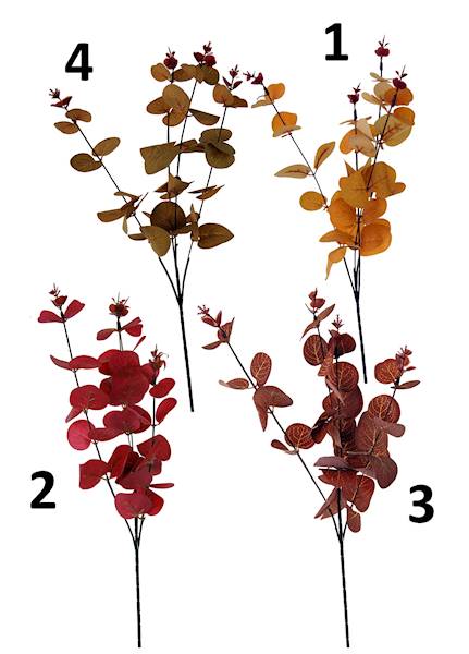 Gałązka eukaliptus, C609