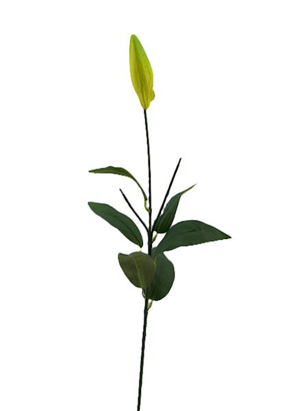 Łodyga do lilii 2+1, W116016