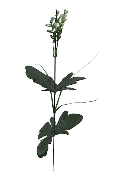 Łodyga do peoni, W116021