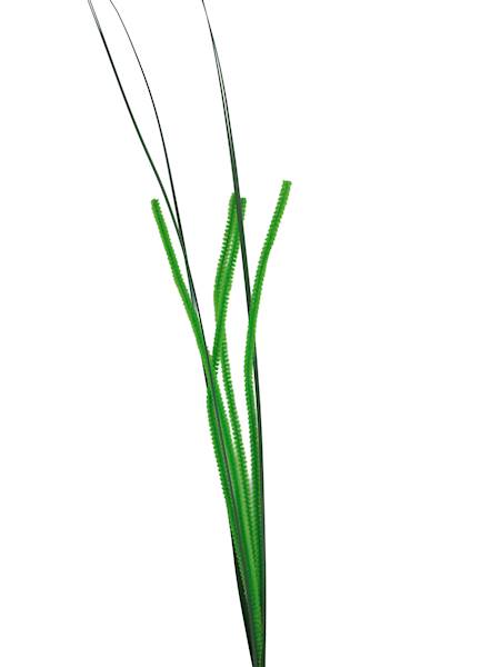 Gałązka kolorowa, W12111