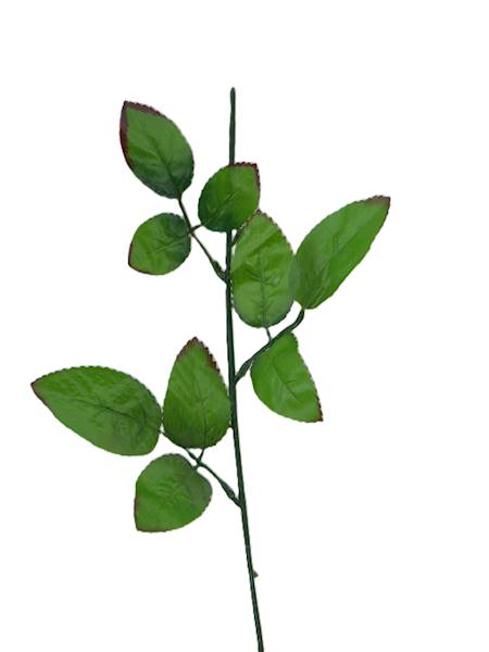 Łodyga do róży, W1160103