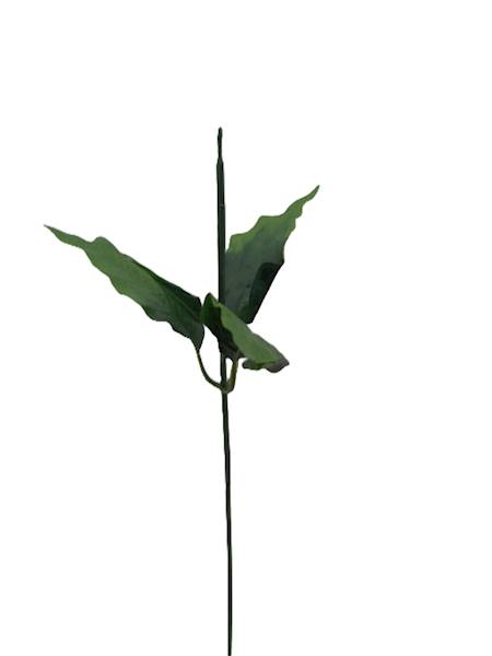 Łodyga uniwersalna, W23009