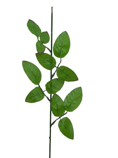 Łodyga do róży, W160005