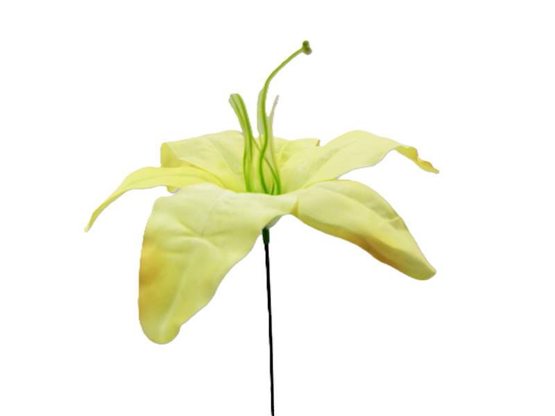 Lilia wyrobowa, W116034