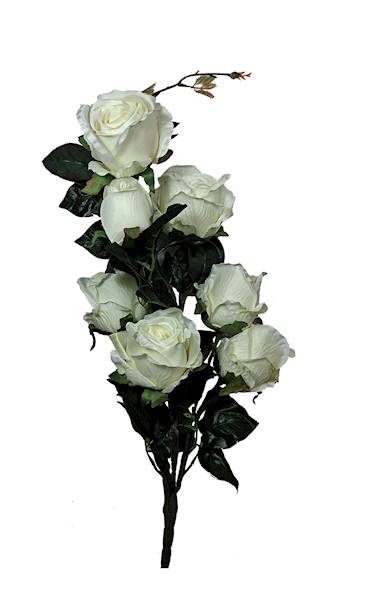 Bukiet róża x7, C189