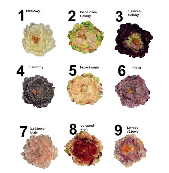 Peonia wyrobowa, W233998