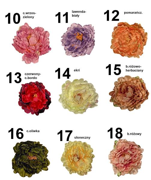 Peonia wyrobowa, W233998