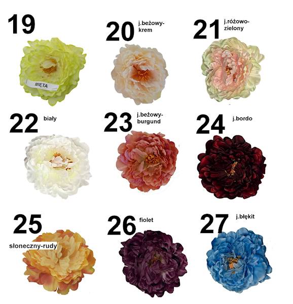 Peonia wyrobowa, W233998