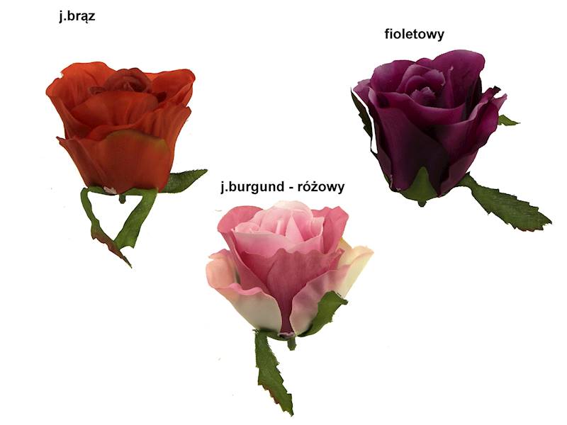 Róża pąk, W234838