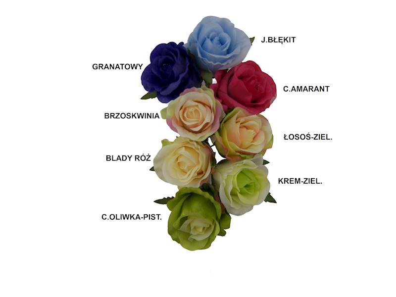 Róża pąk, W234838