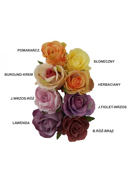 Róża pąk, W234838