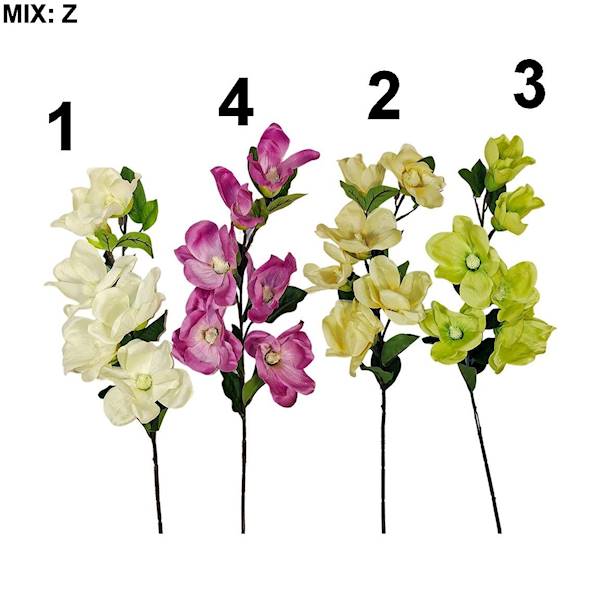 Gałązka magnolii, W23291