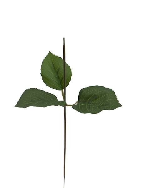 Łodyga uniwersalna, W23295