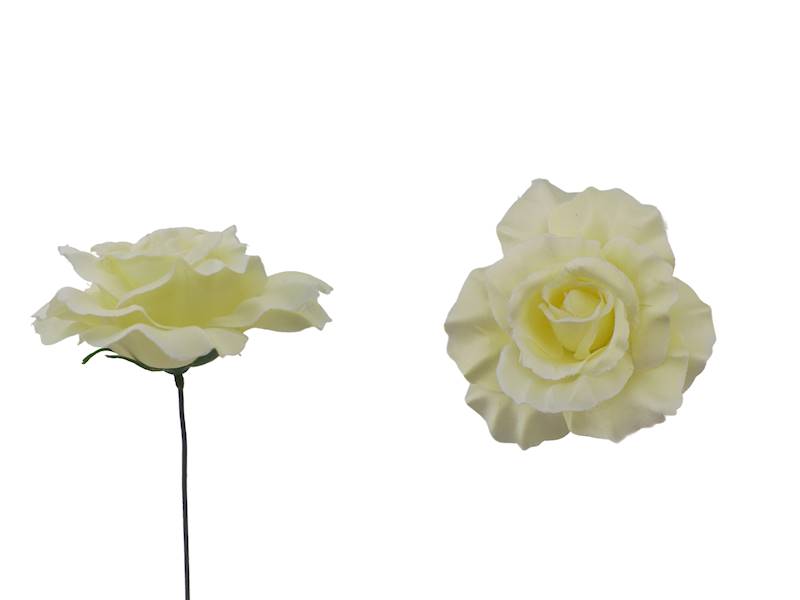 Róża satynowa, W456A