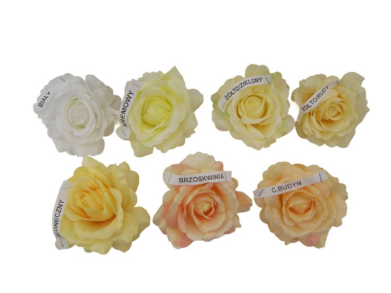 Róża wyrobowa, WC018