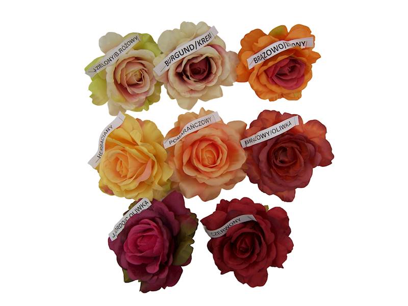 Róża wyrobowa, WC018