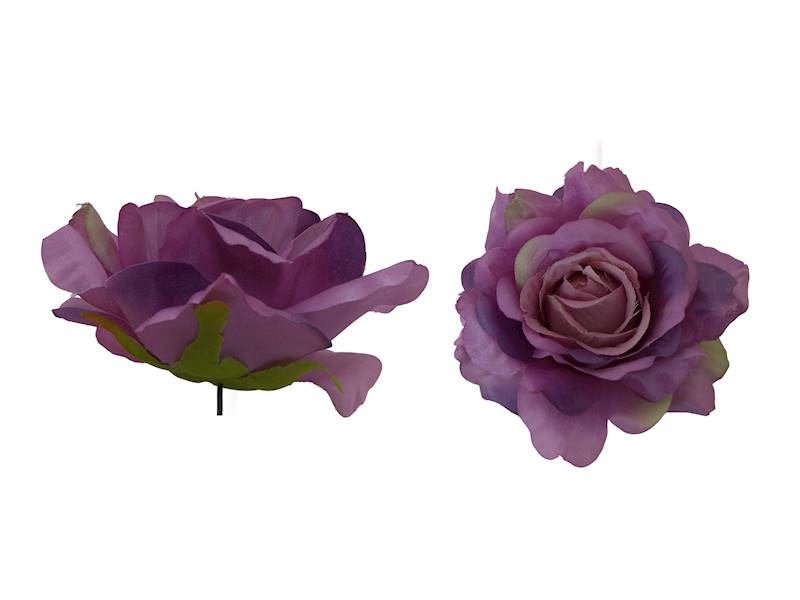 Róża wyrobowa, WC018