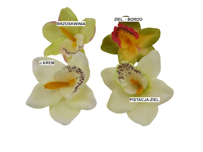 Storczyk wyrobowy, W22378HL