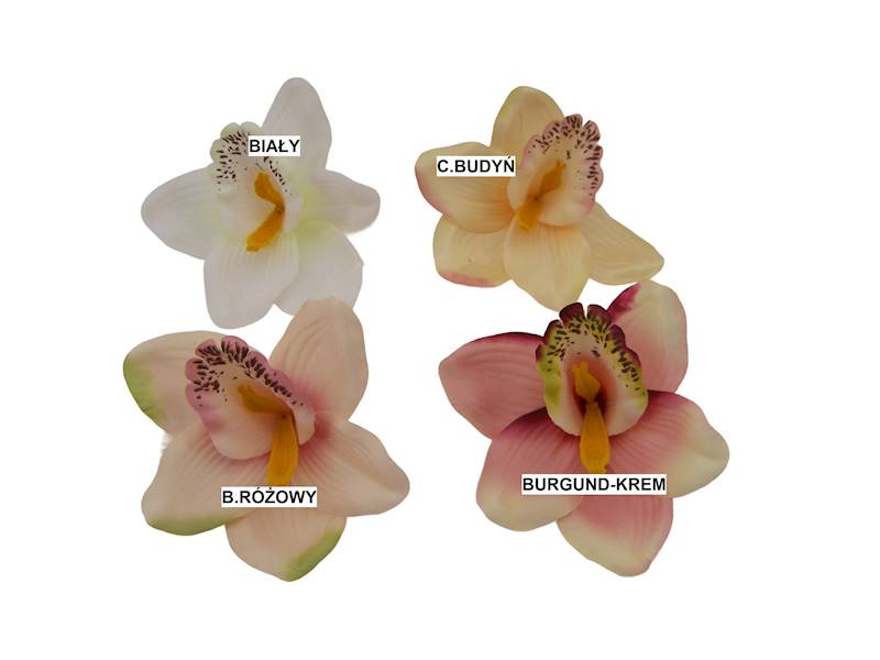 Storczyk wyrobowy, W22378HL