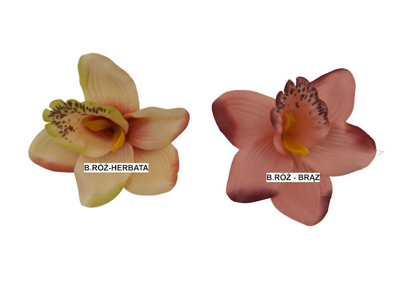 Storczyk wyrobowy, W22378HL