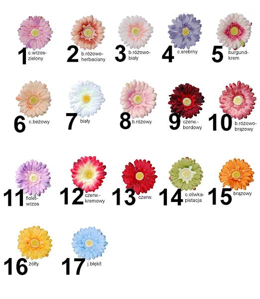 Gerbera satynowa, W233668