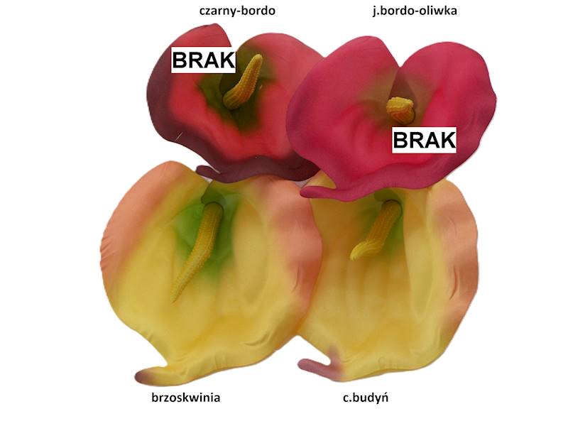 Kalla satynowa, WC248A