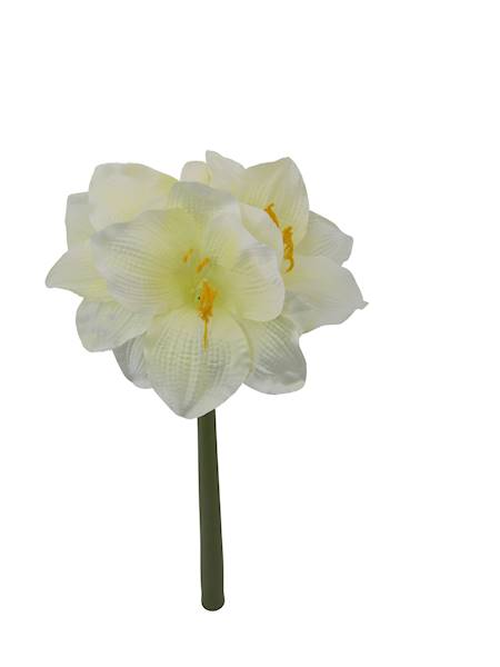 Amarylis gałązka , W23398S