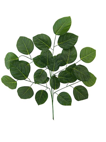 Liść piątka, W6508LG