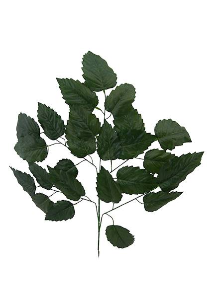 Liść piątka, W6503DG