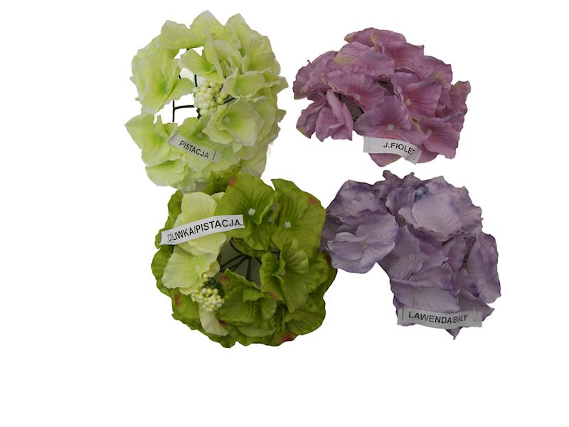 Hortensja wyrobowa, W23510