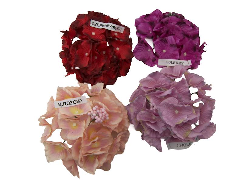 Hortensja wyrobowa, W23510