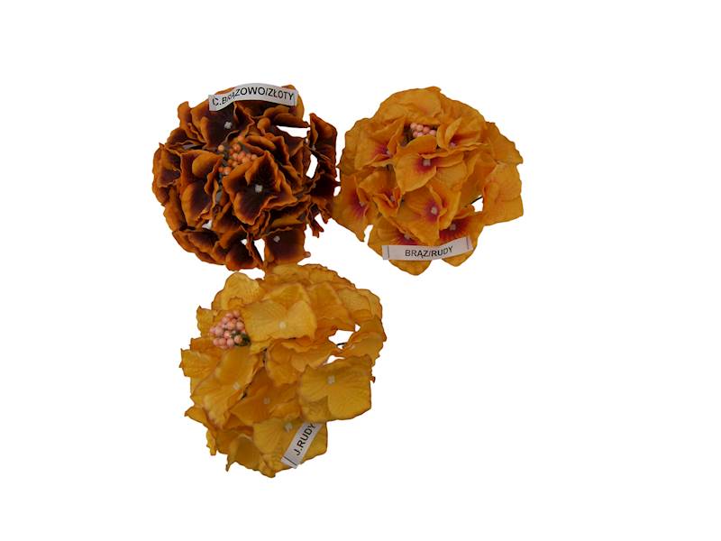 Hortensja wyrobowa, W23510