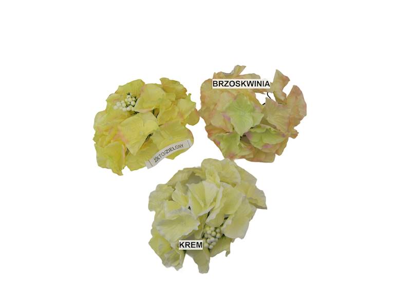 Hortensja wyrobowa, W23510