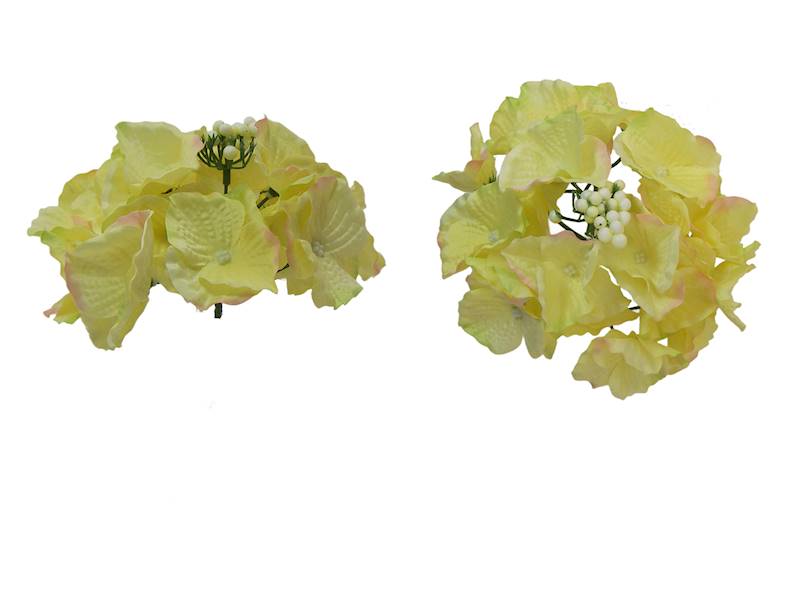 Hortensja wyrobowa, W23510