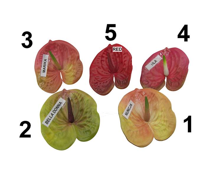 Anturium drukowane 3D, W234632