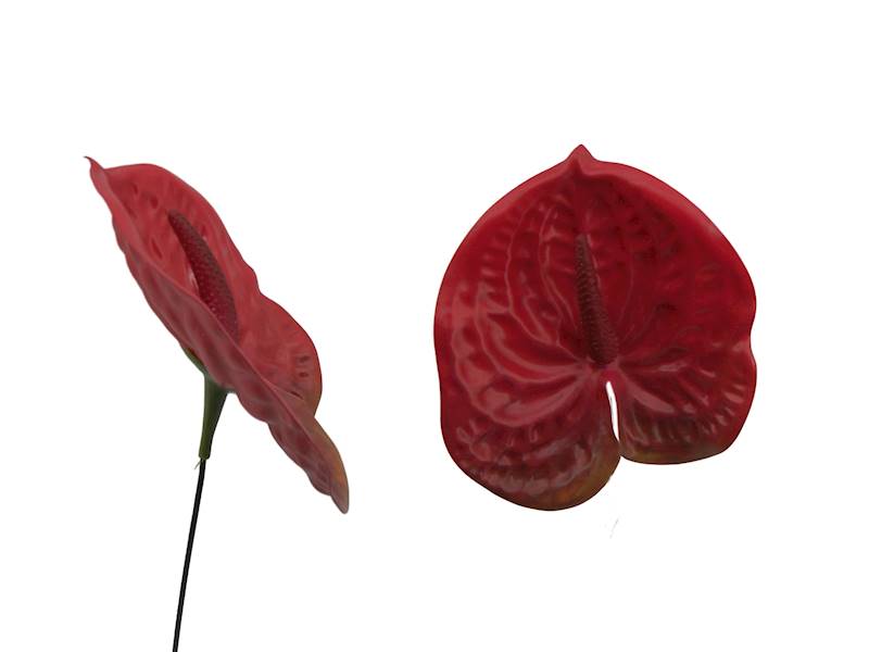 Anturium drukowane 3D, W234632