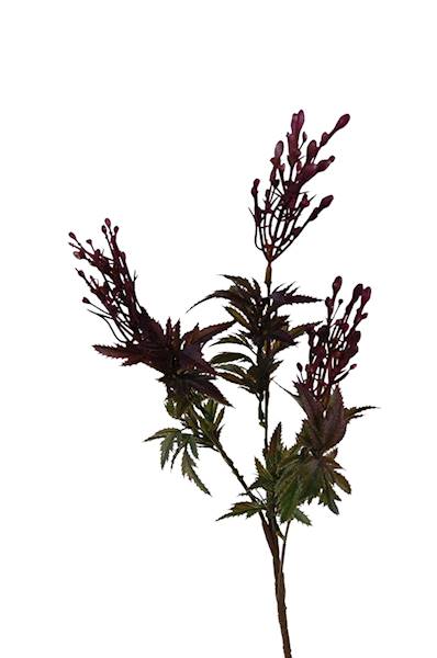 Gałązka x 3, WD062