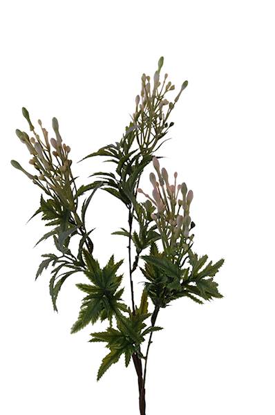 Gałązka x 3, WD062