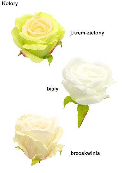 Róża wyrobowa, WH001