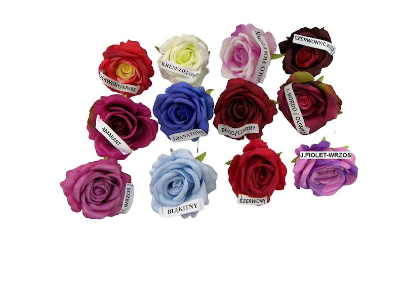 Róża wyrobowa, WH001