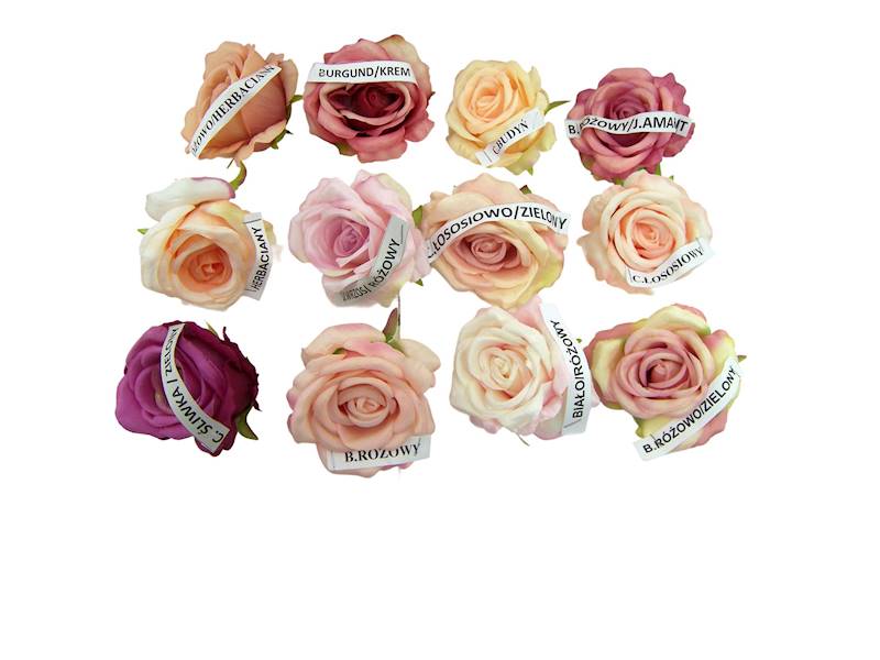 Róża wyrobowa, WH001