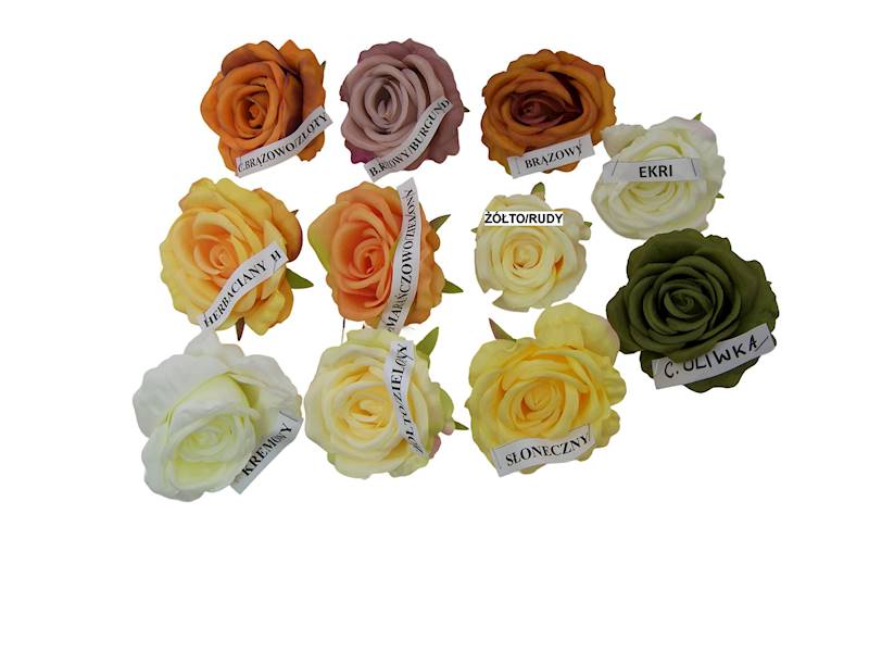Róża wyrobowa, WH001