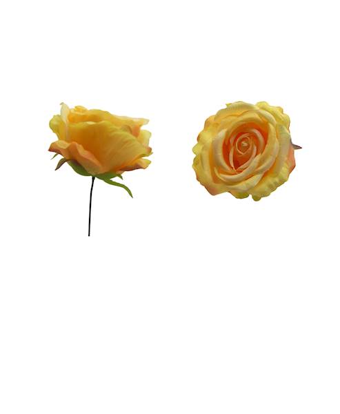 Róża wyrobowa, WH001