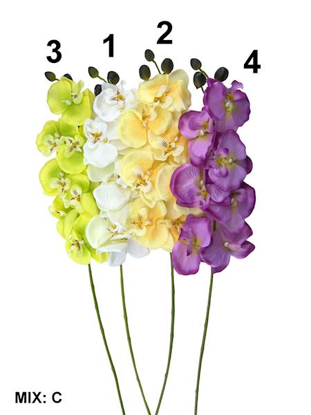 Gałązka Storczyka, WHC025