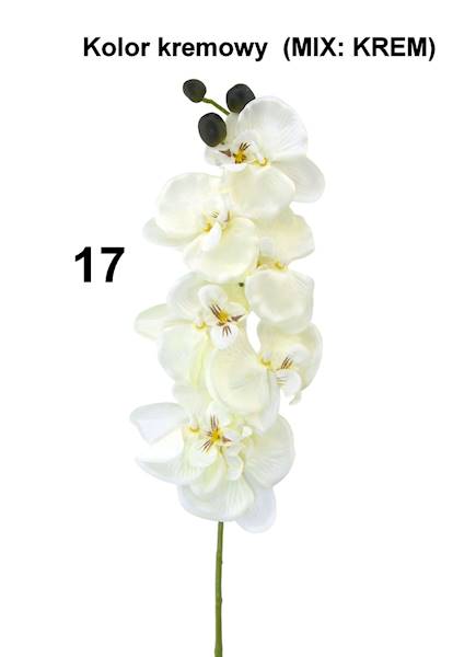 Gałązka Storczyka, WHC025